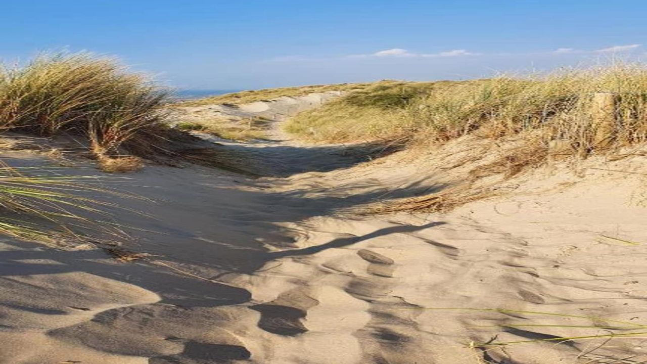 AreaSummer20KM AreaSummer20KM